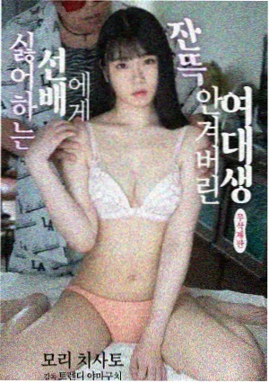 纪录片中文字幕栏目